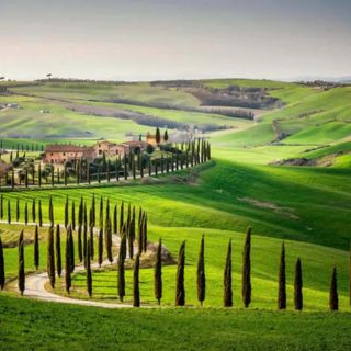 Tuscany1
