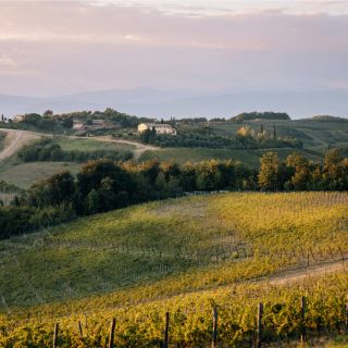 Tuscany2