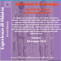 Le Estensioni di Masunaga: Una lettura diversa della mappa, strumenti e strategie - Accademia Shiatsu Do Genova -&ldquo;Evento Apos Approved&rdquo;- Genova 5/6 Maggio 2018