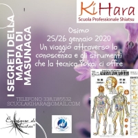 Le estensioni di Masunaga: I segreti della mappa di Masunaga - Scuola Shiatsu KiHara -&ldquo;Evento Apos Approved&rdquo;- Osimo 25/26 Gennaio 2020