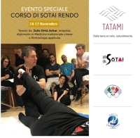 "Corso Sotai Rendo - Il meraviglioso ruolo del Nervo Vago" - TATAMI ASD -&ldquo;Evento Apos Approved&rdquo;- Roma 16-17 Novembre 2024