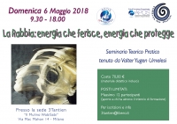 Rabbia: Energia che ferisce, energia che protegge - 3Tantien Zen Shiatsu -&ldquo;Evento Apos Approved&rdquo; - Milano - 6 Maggio 2018