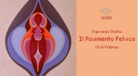 "Il Pavimento pelvico" - TATAMI ASD -&ldquo;Evento Apos Approved&rdquo;- Roma 15 - 16 Febbraio 2020