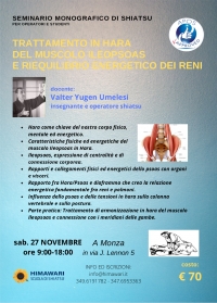 Trattamento in Hara del muscolo Ileopsoas e riequilibrio energetico dei reni - Himawari - &ldquo;Evento Apos Approved&rdquo;- Monza 27 Novembre 2021