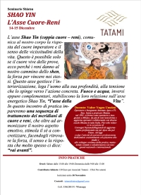 "Shao Yin. L&rsquo;Asse Cuore-Reni" - TATAMI ASD -&ldquo;Evento Apos Approved&rdquo;- Roma 14-15 Dicembre 2024